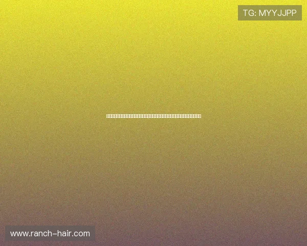 塞内加尔与伊拉克队训练动态全景揭秘，为世界杯比赛提供最新战术调整与状态分析